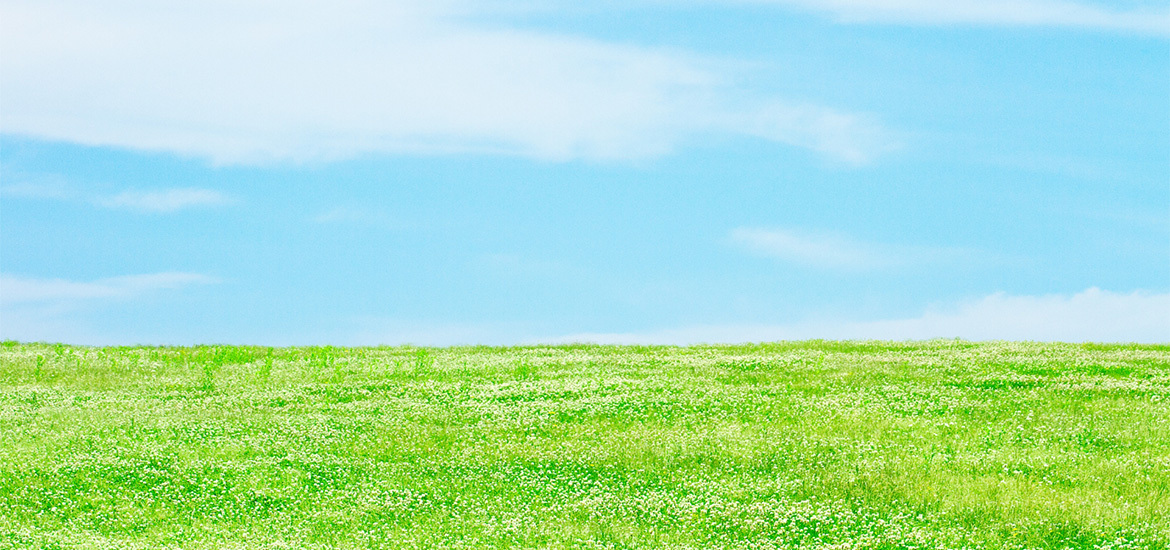 小山市東城南 自由が丘公園西停留所近く 眼科